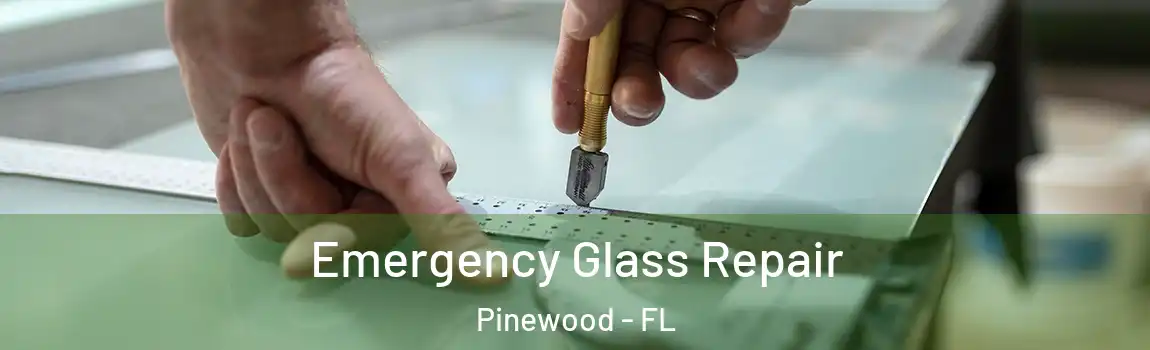  Emergency Glass Repair Pinewood - FL