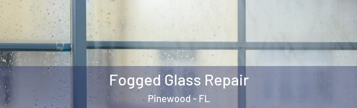  Fogged Glass Repair Pinewood - FL