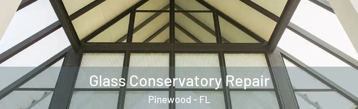  Glass Conservatory Repair Pinewood - FL