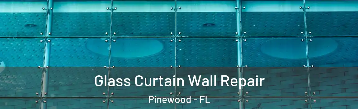  Glass Curtain Wall Repair Pinewood - FL