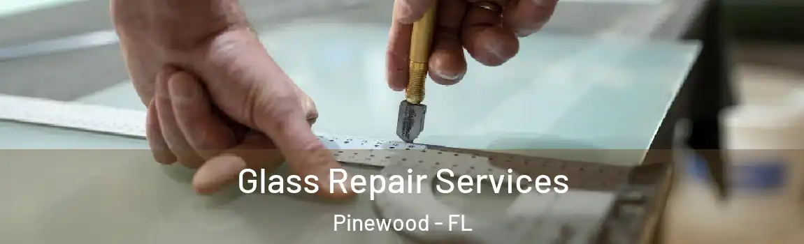  Glass Repair Services Pinewood - FL
