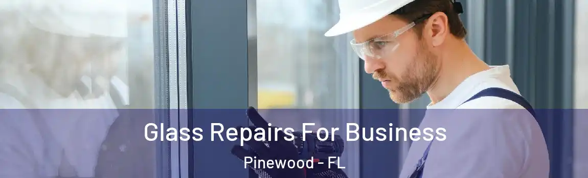  Glass Repairs For Business Pinewood - FL
