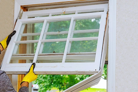 Window Replacement in Pinewood, FL
