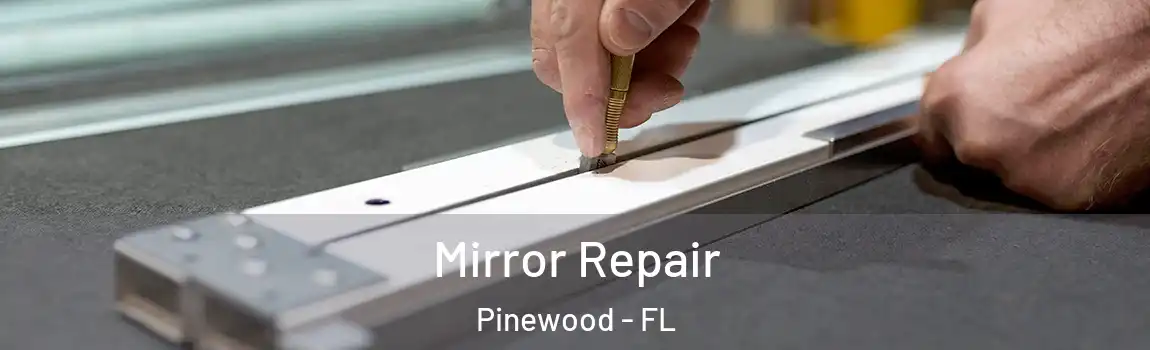  Mirror Repair Pinewood - FL