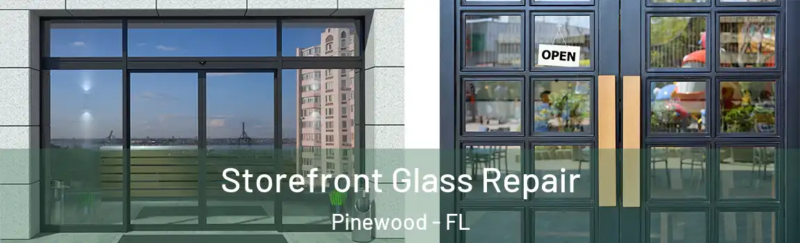  Storefront Glass Repair Pinewood - FL