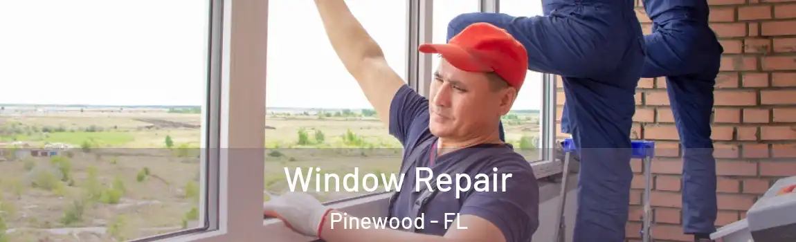  Window Repair Pinewood - FL