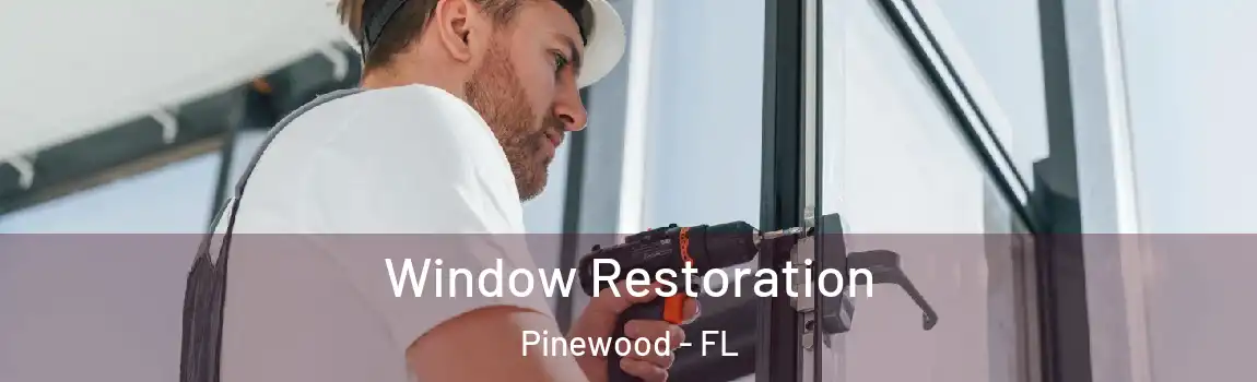  Window Restoration Pinewood - FL